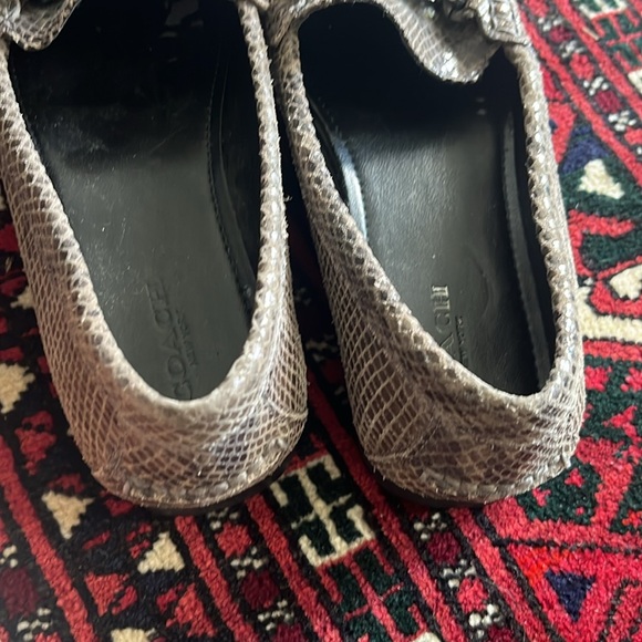 Coach Olive Snakeskin Loafers - Picture 9 of 9